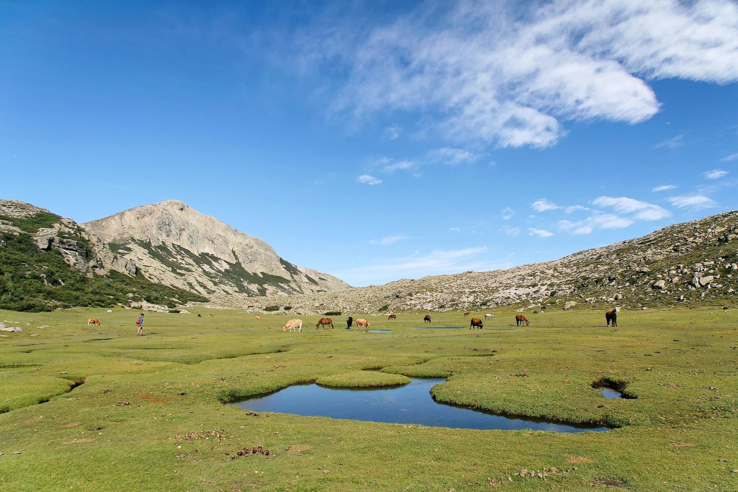Plateau de Coscione près de Porto-Vecchio