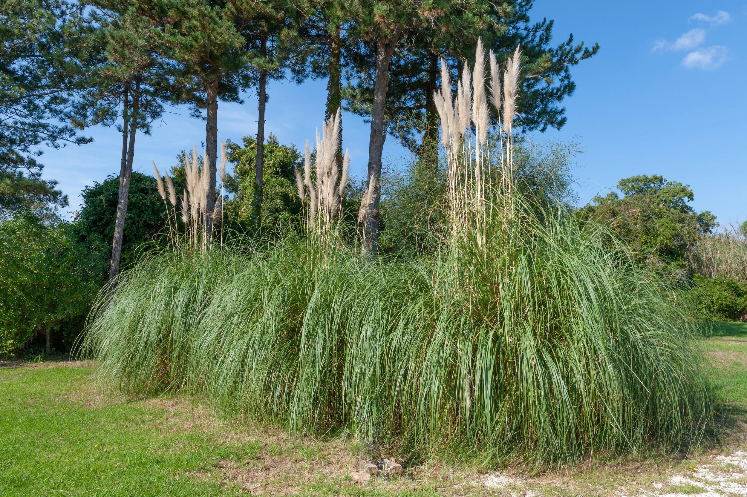 Village Marina - Location de vacances en bord de mer à Santa Giulia